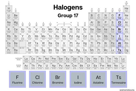 how many electrons do halogens have|List of Halogens (Element Groups) .
